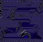 Reporting From Detroit by Terrence Dixon