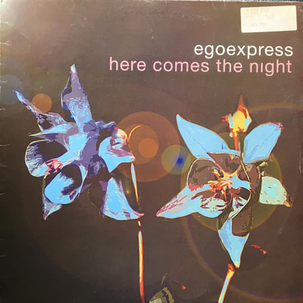 Here Comes The Night