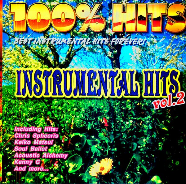100% Hits: Instrumental Hits Vol.2
