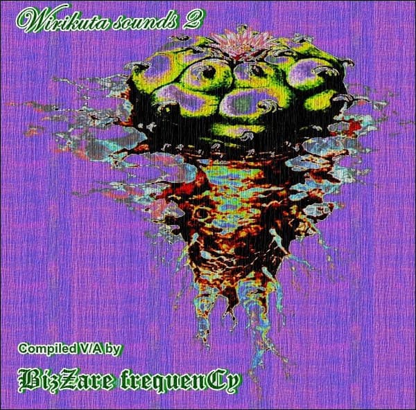 Wirikuta Sounds 2